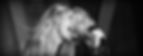 Two women joyfully sing into a shared microphone in a monochrome setting, exuding a lively and energetic mood.